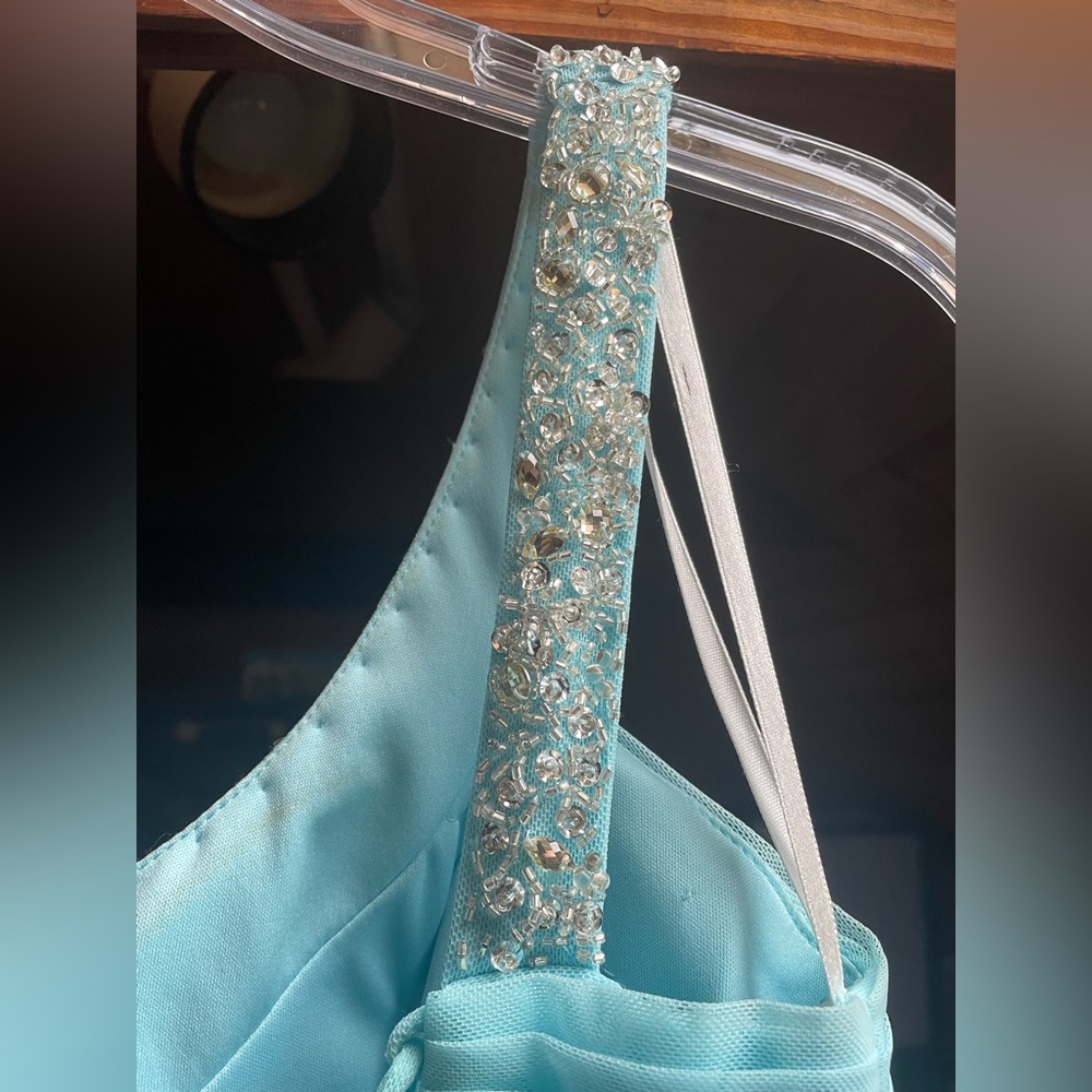 Prom Dress - Picture 11 of 14